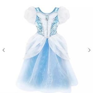 NWT Cinderella Costume